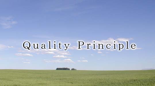Quality Principle